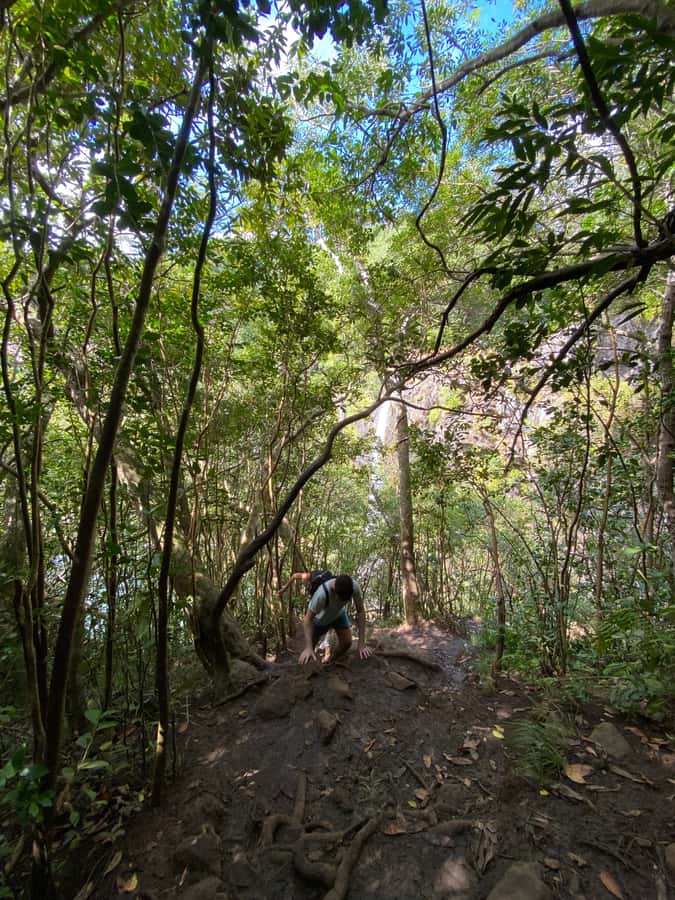 Mauritius Natirel : 7 cascades valley waterfall discovery - Why the guide matters on this particular trail