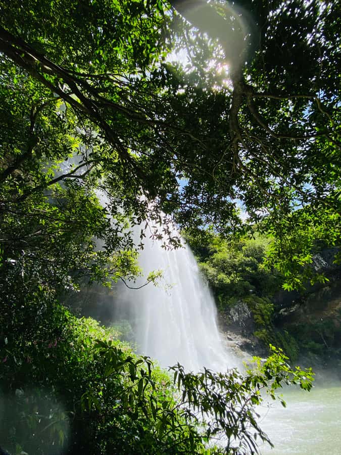 Mauritius Natirel : 7 cascades valley waterfall discovery - Local fruit and Creole food add real value