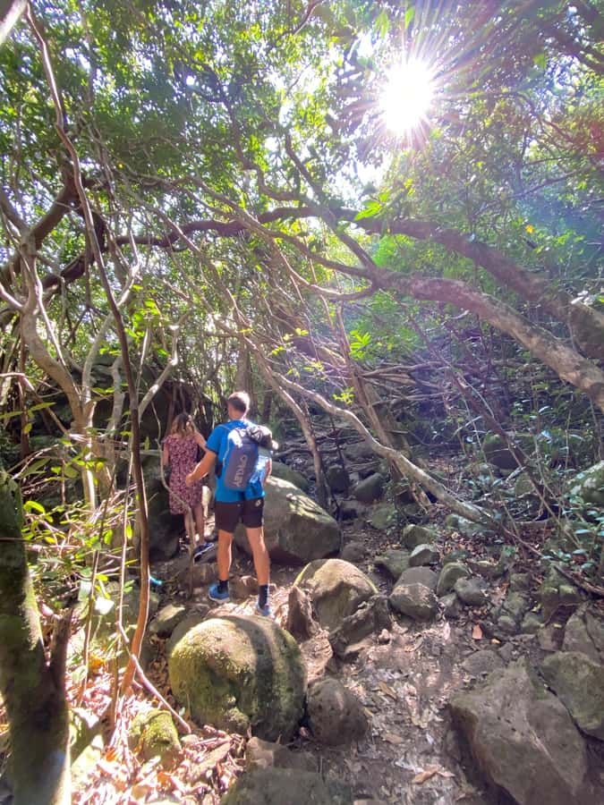 Mauritius Natirel : 7 cascades valley waterfall discovery - The real cost: $44 plus getting to the valley