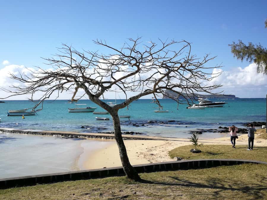 Mauritius North: Private Paradise Tour with Gardens, Markets - Should you book the northern Mauritius tour?