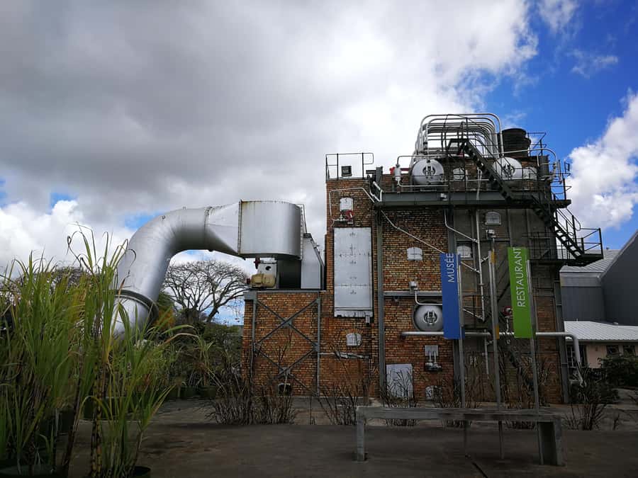 Mauritius North: Private Paradise Tour with Gardens, Markets - Pamplemousses Botanical Garden and the giant water lilies