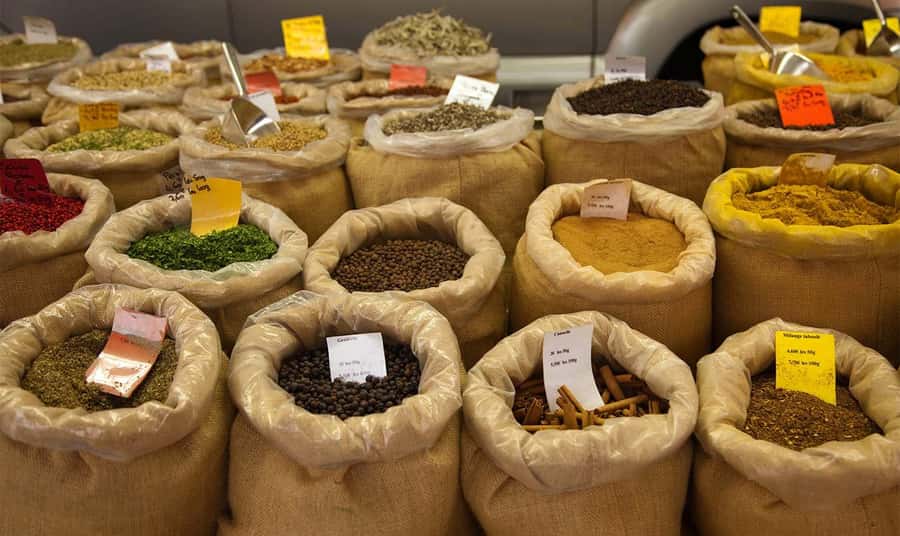 Mauritius: North Tour with Tea Tasting & Oceanarium Visit - Odysseo Oceanarium and the final stop