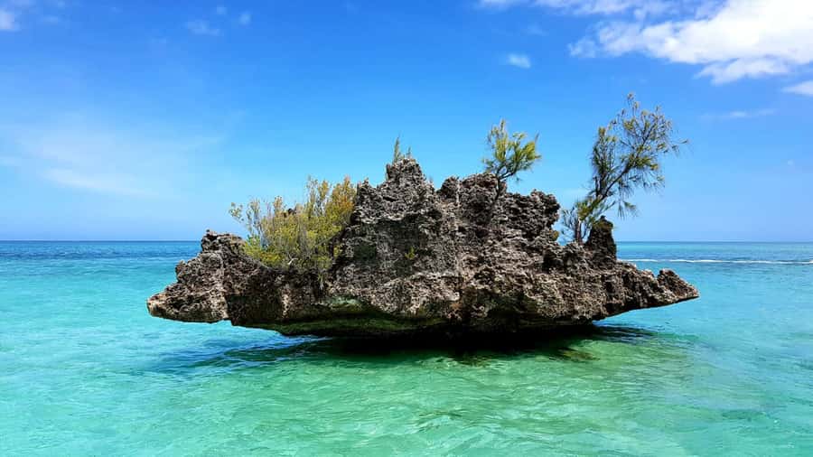 Mauritius: Ocean Swim with Dolphins - A six-hour morning on Mauritius’s southwest coast
