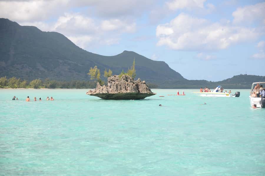 Mauritius: Ocean Swim with Dolphins - Meeting at Martello Tower Museum