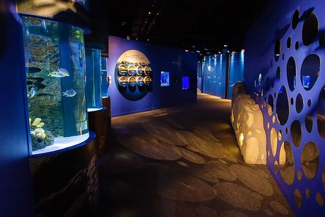 Mauritius Odysseo Oceanarium in Port Louis - What you see inside the 5,500-square-meter oceanarium