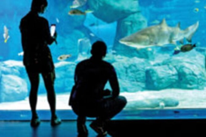Mauritius Odysseo Oceanarium in Port Louis - The pollution exhibit gives the visit a purpose