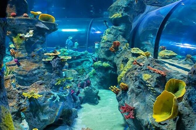 Mauritius Odysseo Oceanarium in Port Louis - Who will enjoy Odysseo most?