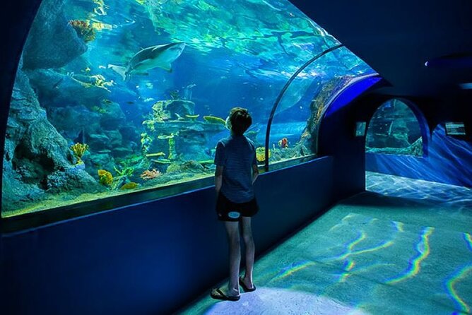 Mauritius Odysseo Oceanarium in Port Louis - The main tank, sharks, and underwater tunnel