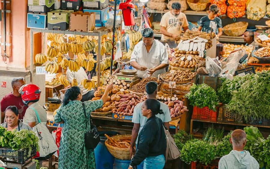 Mauritius: Port Louis and Northern Highlights Full-Day Trip - Getting a taste of Port Louis at the Central Market
