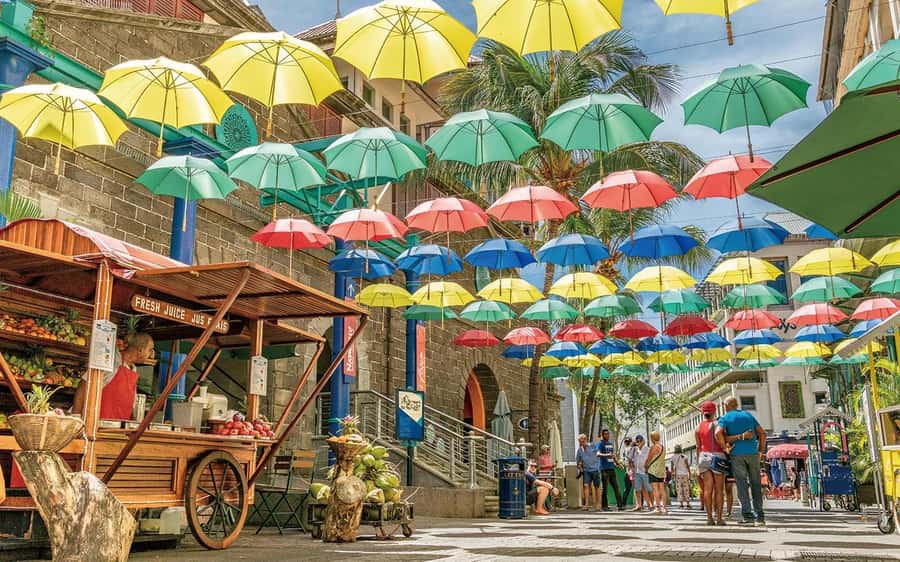 Mauritius: Port Louis and Northern Highlights Full-Day Trip - Starting at Fort Adelaide above Port Louis