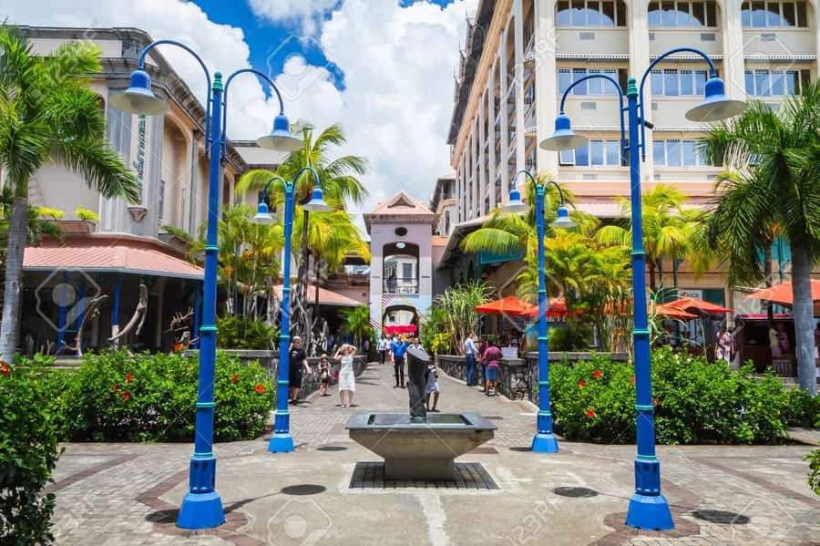 Mauritius: Port Louis / China Town Food & Culture Tour - What the guide adds to the day