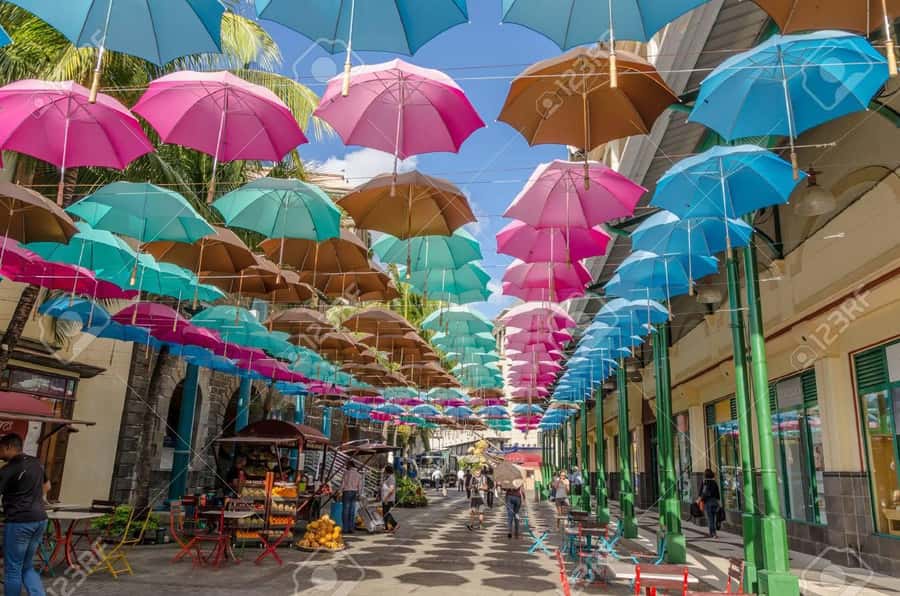 Mauritius: Port Louis / China Town Food & Culture Tour - The value of private transport across Mauritius
