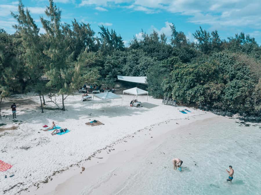 Mauritius: Private 5 Island Tour with Ile aux Cerfs - Dolphins and wildlife: keep expectations sensible