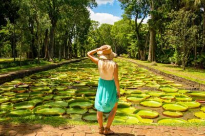 Private Full-Day Iconic Instagram Spots