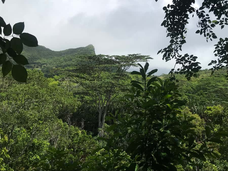 Mauritius: Private Full-Day Iconic Instagram Spots - 7 Colored Earth in Chamarel