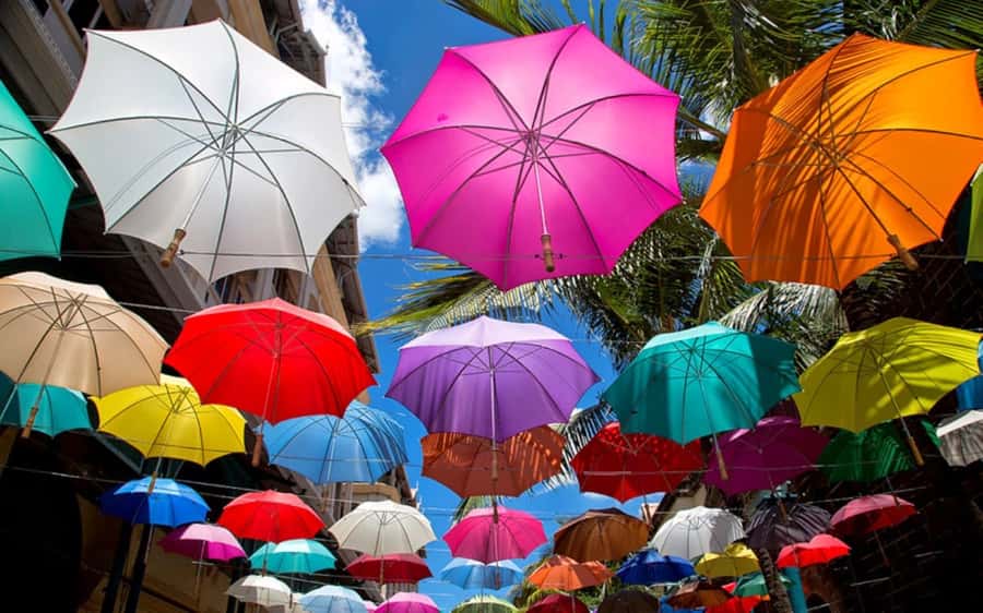 Mauritius: Private Full-Day Iconic Instagram Spots - Lunch, drinks, and what to pack