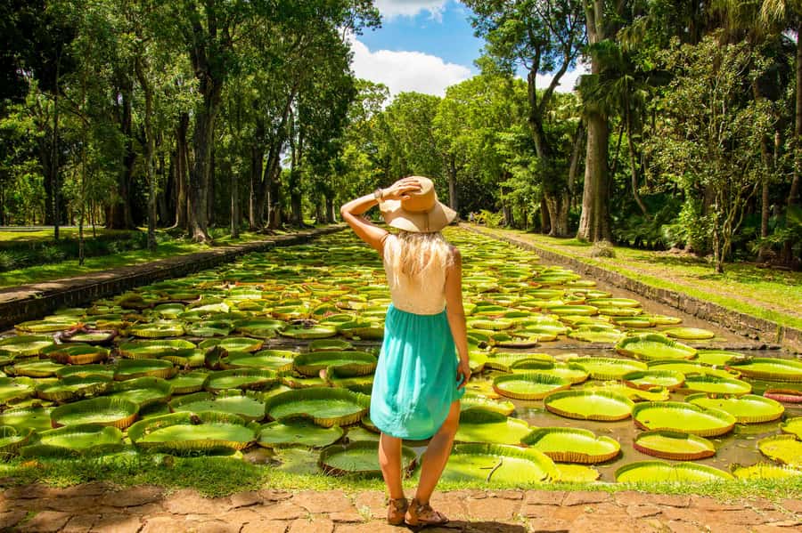 Mauritius: Private Full-Day Iconic Instagram Spots - Umbrella Square and Port Louis