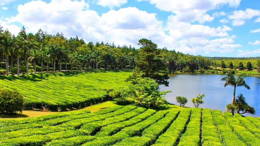Mauritius: Private Full-Day South Mauritius Tour - Key points to know before you go