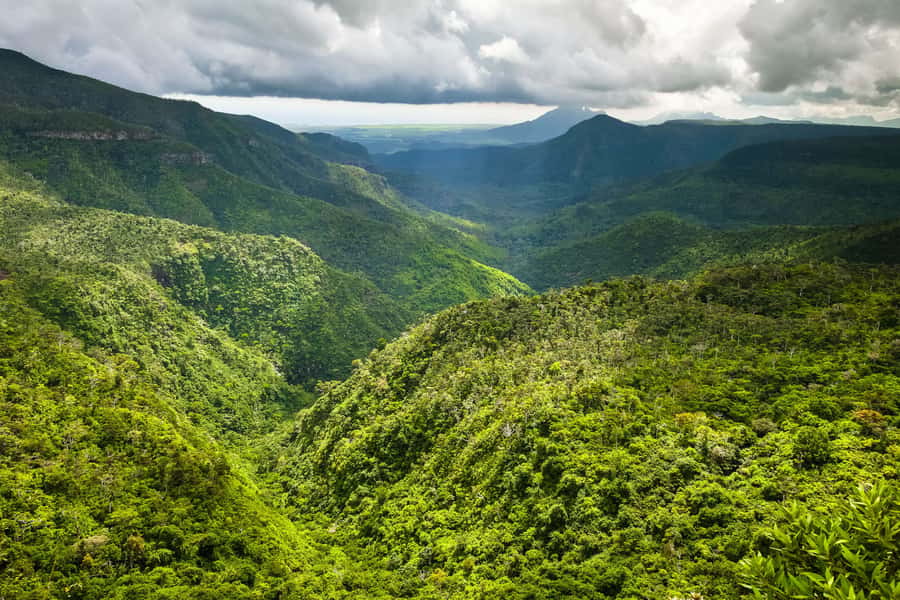 Mauritius: Private Full Day Tour with Entry Tickets & Lunch - A private route into Mauritius beyond the beaches