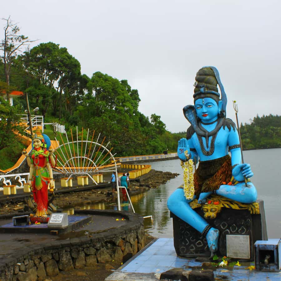 Mauritius: Private Full Day Tour with Entry Tickets & Lunch - Mare aux Vacoas shows the practical side of the island