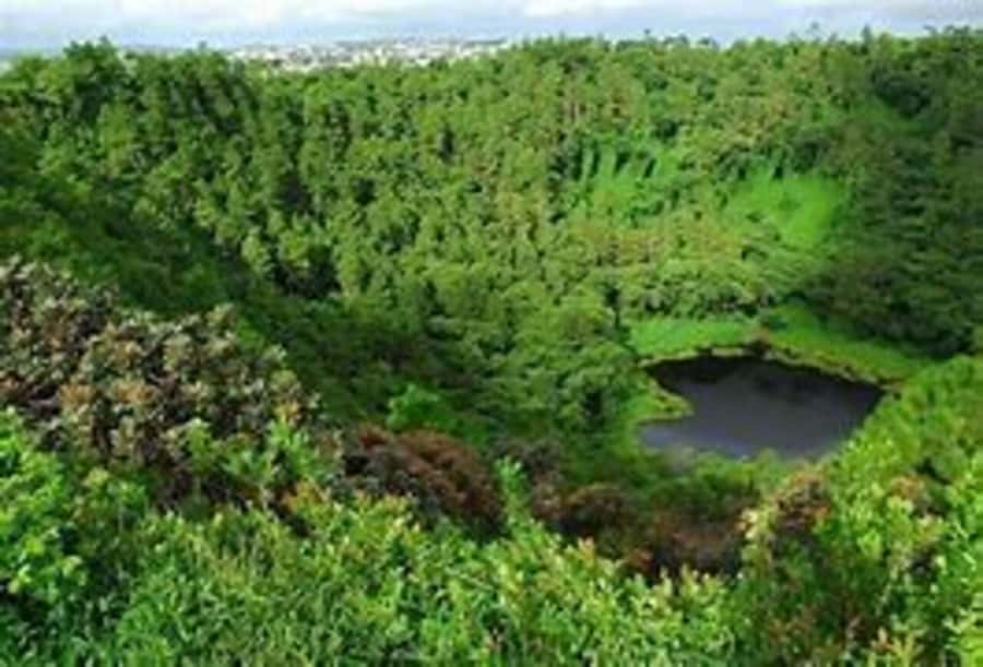 Mauritius: Private Guided South Tour with Pickup - One day from Curepipe to Chamouny