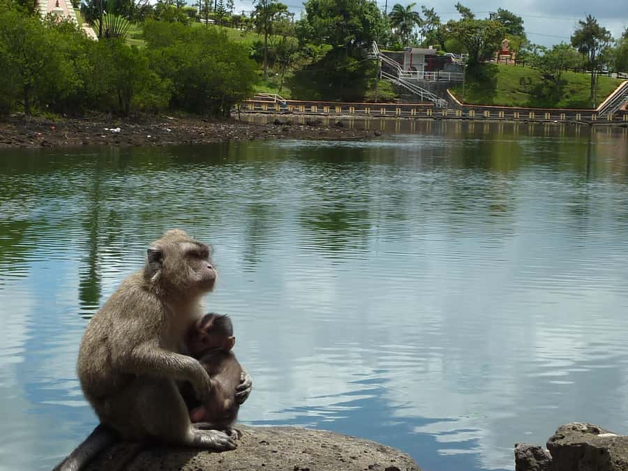 Mauritius: Private Guided South Tour with Pickup - Trou aux Cerfs and Mauritius’s volcanic past