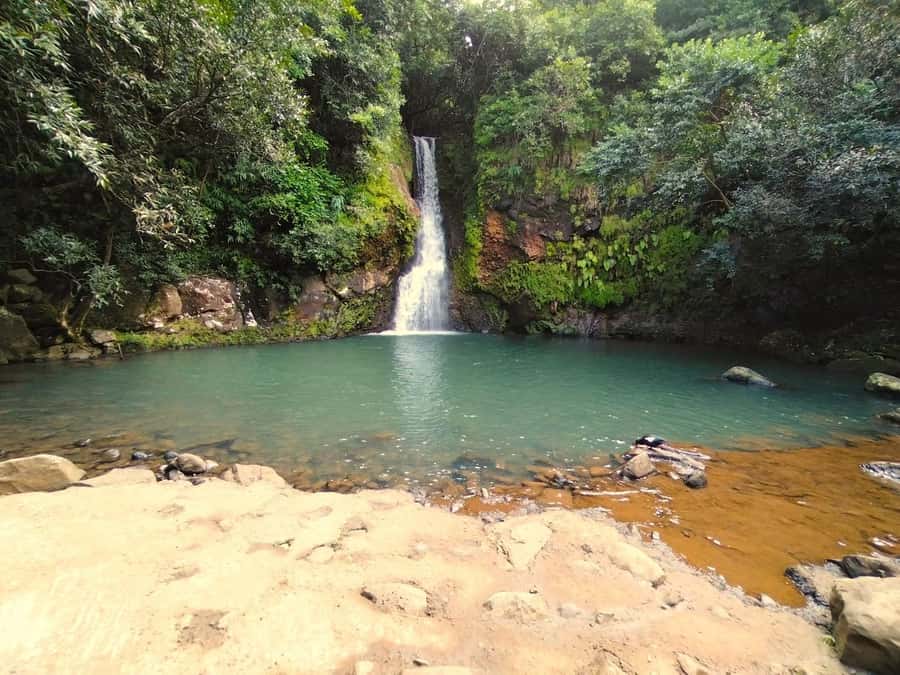 Mauritius: Private South Day Tour with Hotel Transfer - Why this private south tour works well
