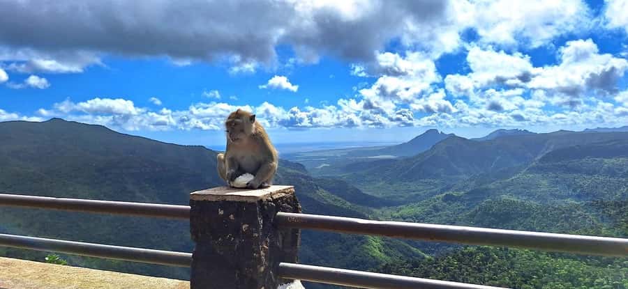 Mauritius: Private South Day Tour with Hotel Transfer - Grand Bassin and the sacred lake