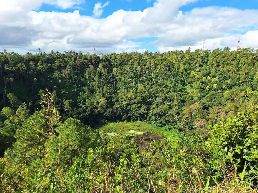 Mauritius: Private South Day Tour with Hotel Transfer - Alexandra Falls and Black River Gorges