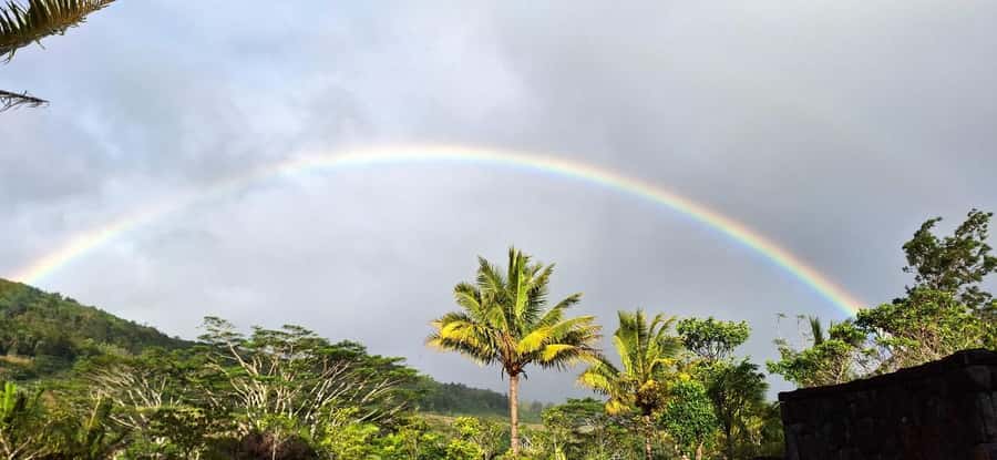 Mauritius: Private South Day Tour with Hotel Transfer - Rum production at La Rhumerie de Chamarel