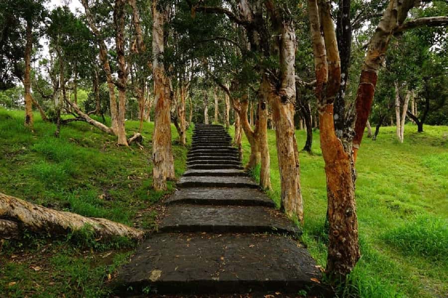 Mauritius: Private South Day Tour with Hotel Transfer - The guide can shape the whole day