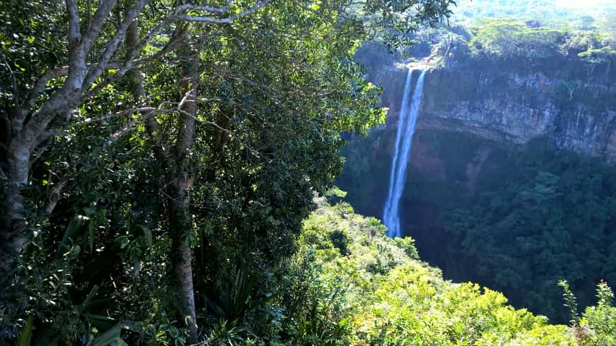 Mauritius: Private South Side and Dolphin Adventure Tour - Key points at a glance