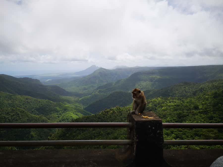 Mauritius: Private South Tour with Pickup - Trou aux Cerfs crater and 360-degree views