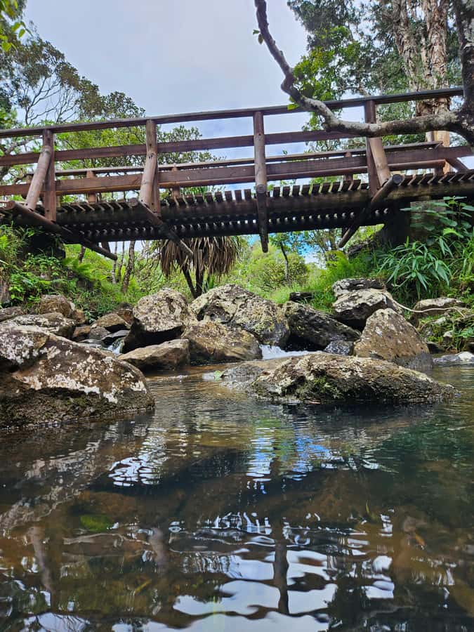 Mauritius: Private Southwest Chamarel Highlights Tour - Chamarel’s Seven Coloured Earths and waterfall