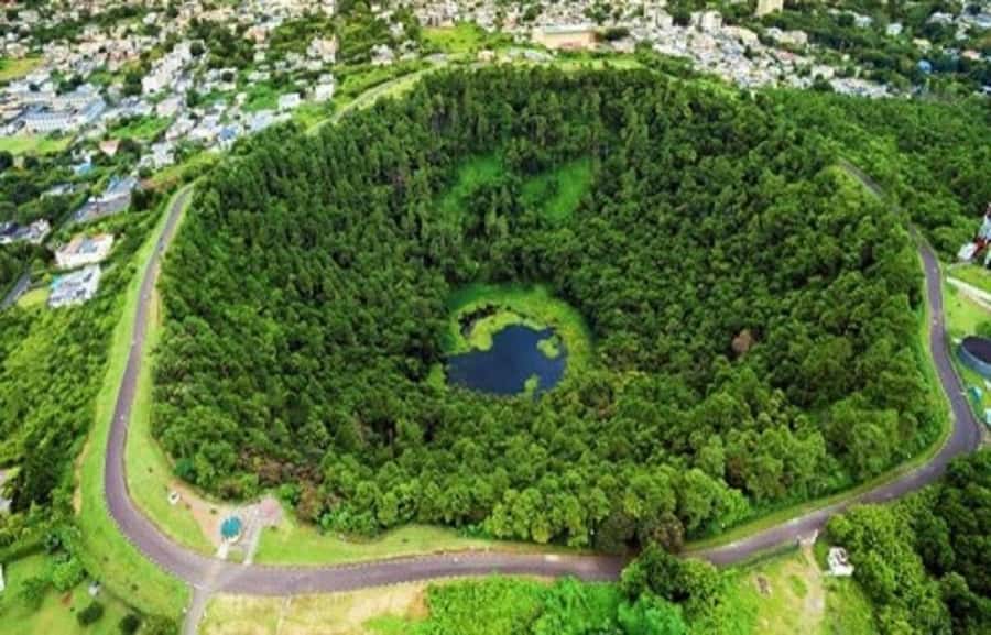 Mauritius: Private Southwest Day Tour - Black River Gorges and Alexandra Falls bring the big views