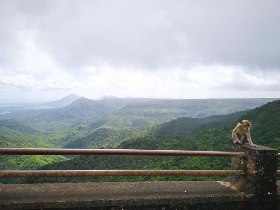 Mauritius: Private Southwest Tour with Pickup - Practical advice for a smoother day