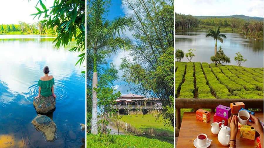 Mauritius : private wild south fullday tour - Grand Bassin and the Hindu heart of the south