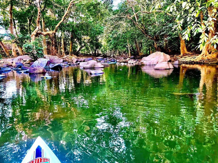 Mauritius: River Guided Kayak Tour with Monkeys - A slower break in the middle of the tour