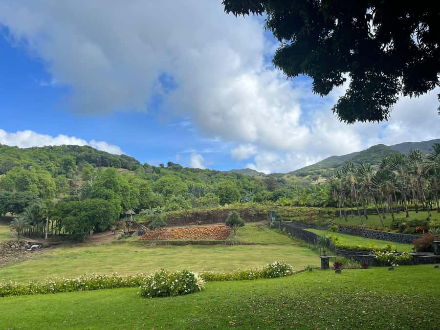 Mauritius: Scenic Bike Trails with Gear & Shuttle - Key points to know before you ride
