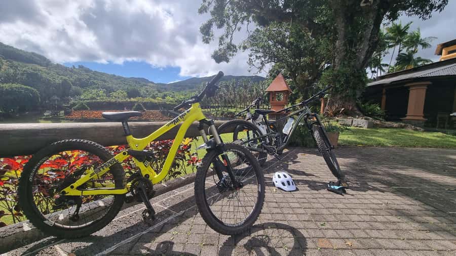 Mauritius: Scenic Bike Trails with Gear & Shuttle - Scenery, wildlife, and the value of slowing down