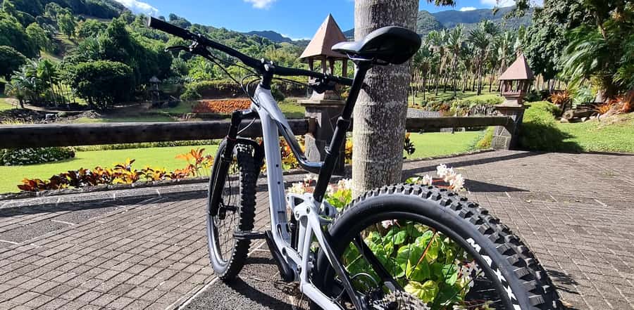 Mauritius: Scenic Bike Trails with Gear & Shuttle - Why the equipment matters