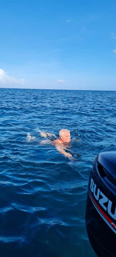 Mauritius: Snorkel and Swim with Dolphins on Speedboat Tour - A Speedboat Ride With Open-Water Views