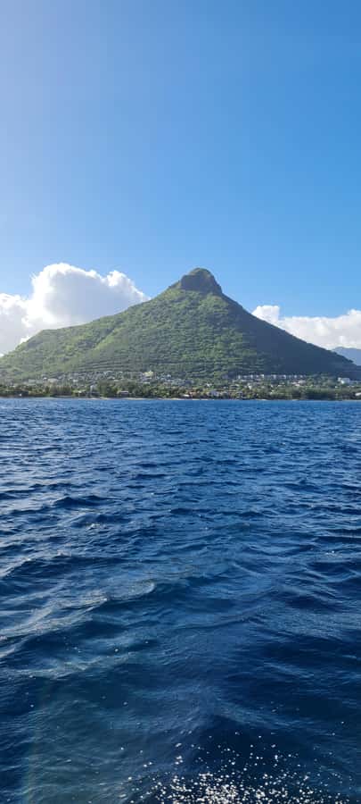 Mauritius: Snorkel and Swim with Dolphins on Speedboat Tour - Captain Jérôme and the Crew