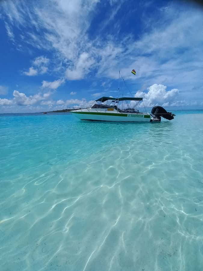 Mauritius: Snorkeling with turtles Le Transporteur speedboat - What makes Trou aux Biches lagoon special