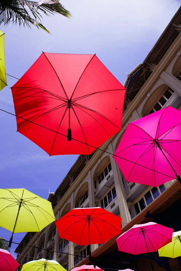Mauritius: Snorkeling with Turtles & Port Louis Street Food - A Private Format With Real Names Behind The Service