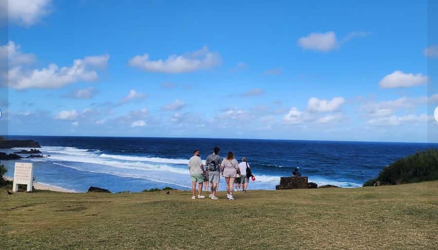 Mauritius: South Coast Tour with Tea Factory & Gris Gris - Bois Chéri Tea Estate: the most rounded stop