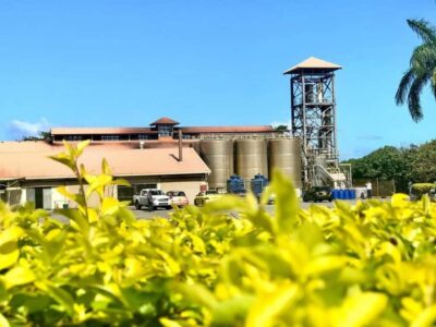 South of the Island Private Full-Day Tour