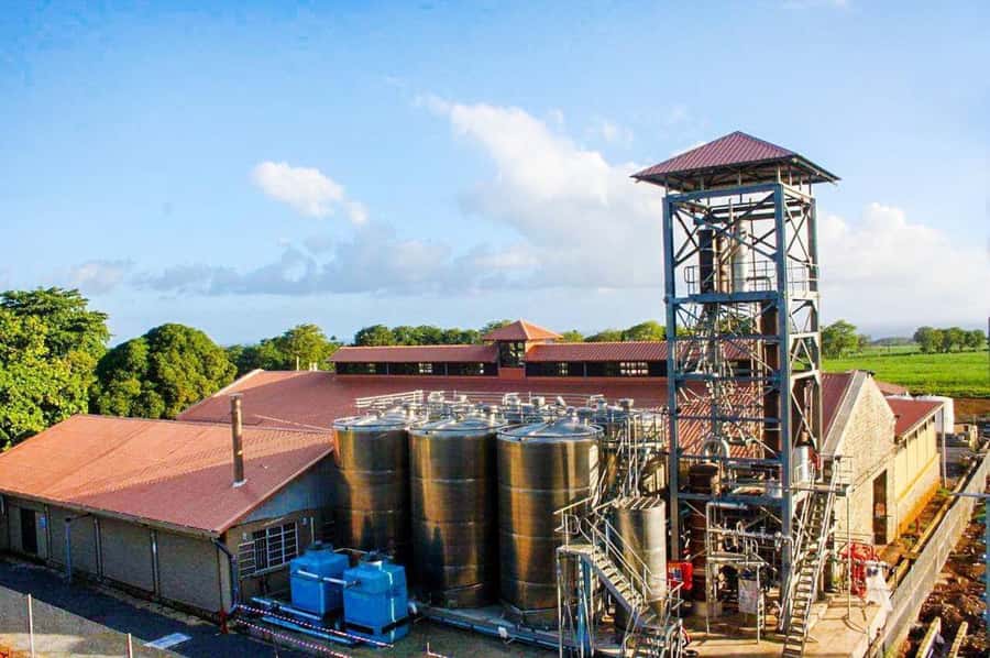 Mauritius: South of the Island Private Full-Day Tour - Bois Chéri tea country and the panoramic tasting