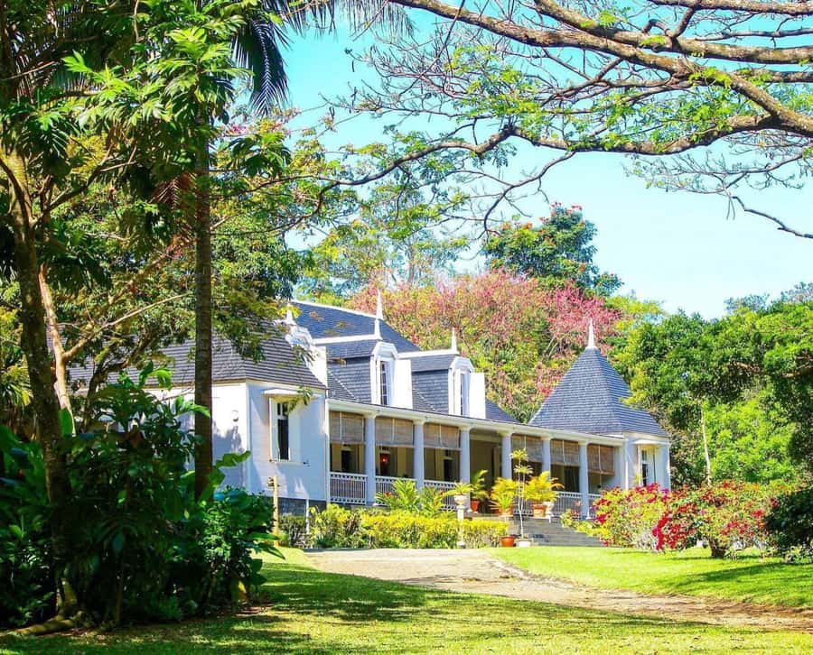 Mauritius: South of the Island Private Full-Day Tour - Alexandra Falls and the high southern views