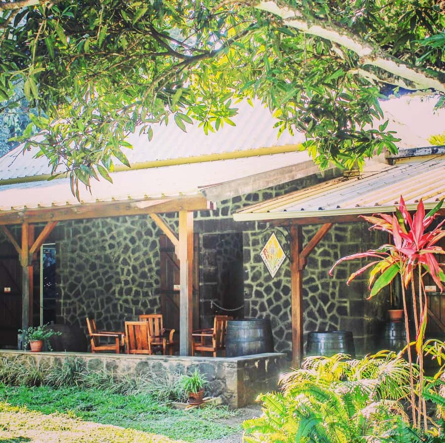 Mauritius: South of the Island Private Full-Day Tour - Gris-Gris and the force of the south coast